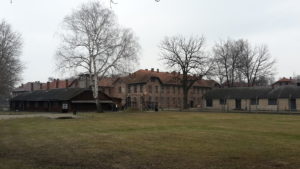20190214_095953