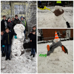 collagemaker_20190131_184226233